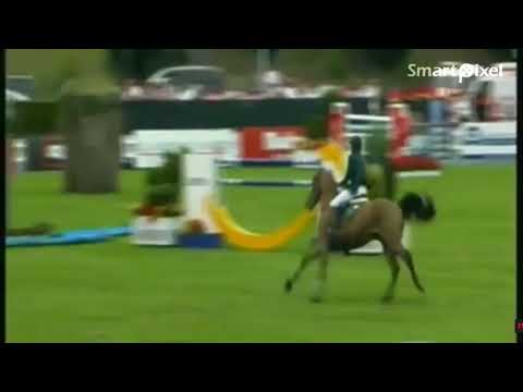 Abdullah & Tobalio - Gijon CSIO5* 2014 ( 160 cm ) Jump Off