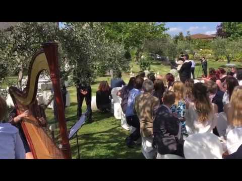 Promotional video thumbnail 4 for Eleonora Pellegrini, Harpist