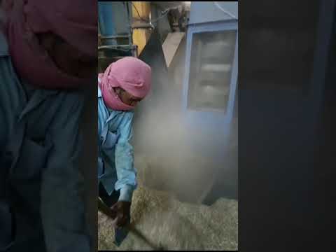 Bucket elevator in operation video thumbnail