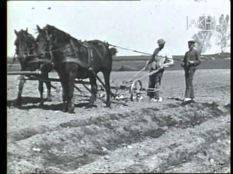 Karl Hoeffkes - Pommersches Gut (saec)