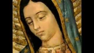 GUADALUPE - Cartel De Santa FT Celso Piña