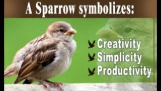 The Beautiful and Powerful Symbolic Meaning of Sparrows