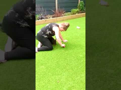 Batson's Happy Dogs video.