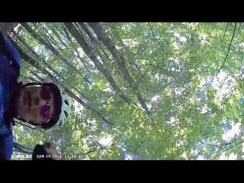 Trail Bike Meets Tree