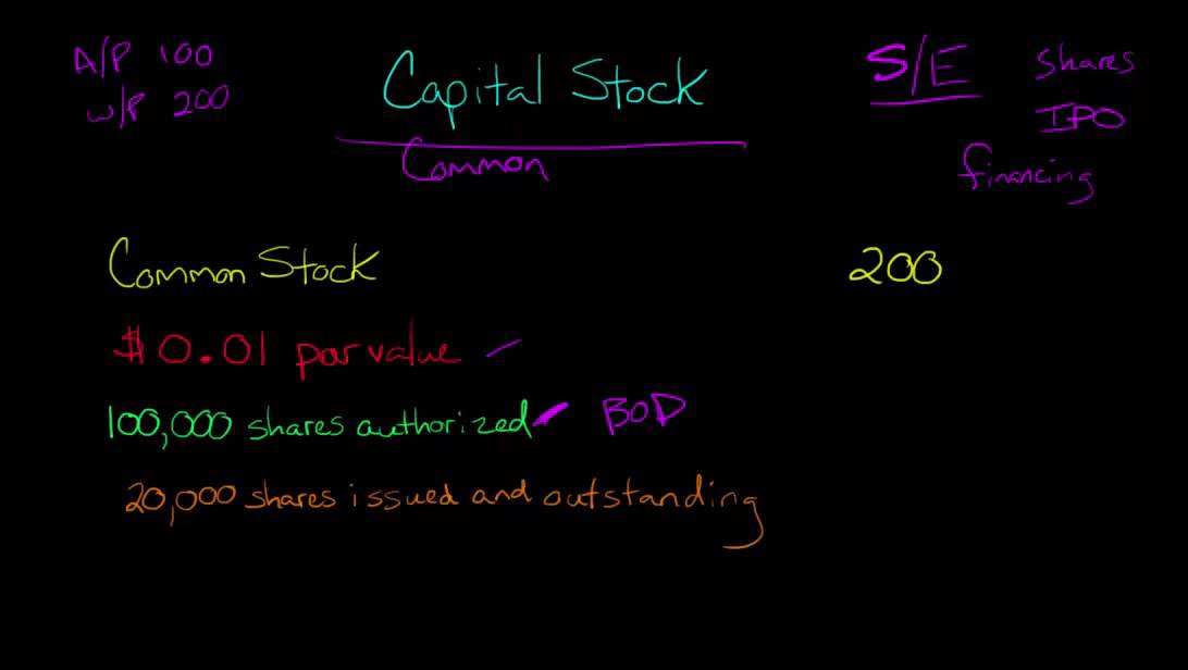 Capital Stock (Common Stock and Preferred Stock)