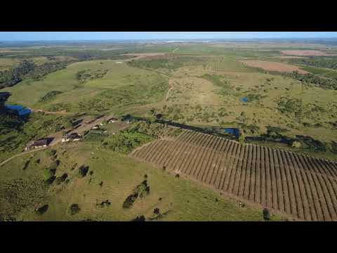 FAZENDA TRINDADE - ITABAIANINHA/SE (PARTE 2)