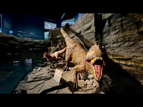 Liaoning Paleontological Museum