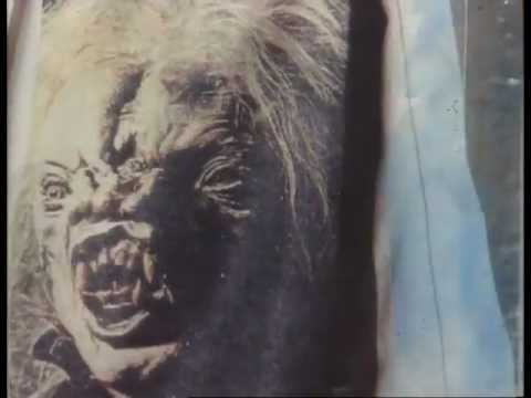 Tall Dwarfs - Turning Brown and Torn in Two