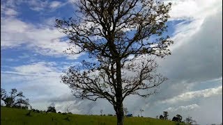 preview picture of video '#SNFProject 4 - Wisata Alam Lokasi Hiking di Garut, Jawa Barat ( Buffalo Hill Garut )'