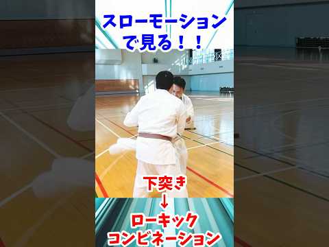 【完璧コンビネーション 下突き→ローキック】#安廣一哉 #ローキック #下突き #コンビネーション #スローモーション #プロの技 #格闘技 #K1 #空手 #フルコンタクト