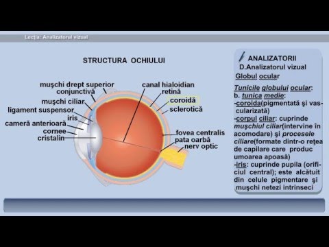 Exerciții de joc pentru restaurarea hipermetopiei vederii