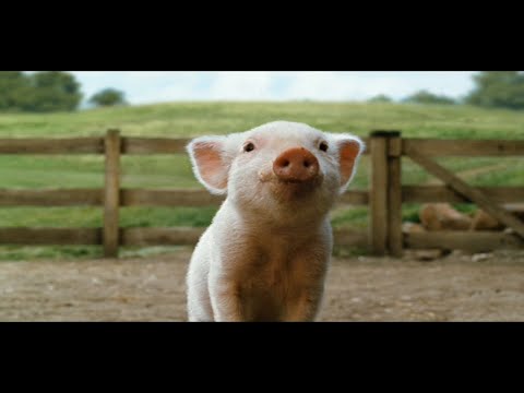 Charlotte's Web (2006) - barn