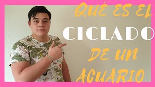🤔¿Cómo ciclar un acuario❓¿Qué es el ciclado de un acuario de agua dulce ?