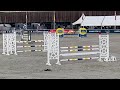 Merrie KWPN Nederlands sportpaard Te koop 2018 Vos ,  Chac Fly