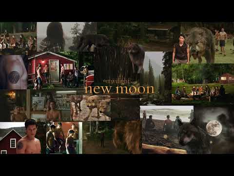 𝑵𝒆𝒘 𝑴𝒐𝒐𝒏 𝑨𝒎𝒃𝒊𝒆𝒏𝒄𝒆 | 𝑻𝒉𝒆𝒓𝒆 𝒂𝒓𝒆 𝒘𝒆𝒓𝒆𝒘𝒐𝒍𝒗𝒆𝒔 𝒊𝒏 𝑭𝒐𝒓𝒌𝒔 | 𝑨𝒎𝒃𝒊𝒆𝒏𝒄𝒆 𝒂𝒏𝒅 𝑷𝒍𝒂𝒚𝒍𝒊𝒔𝒕