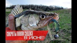 Где лучше рыбалка в июне