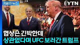 미·이란 협상 총력전 중인데...트럼프는 UFC 경기장으로 [지금이뉴스] / YTN