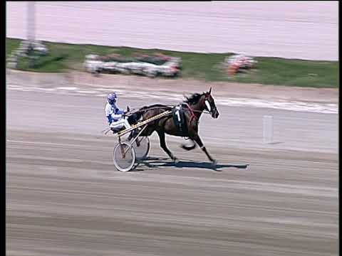 Trotto 19/04/2019 - prova di qualifica