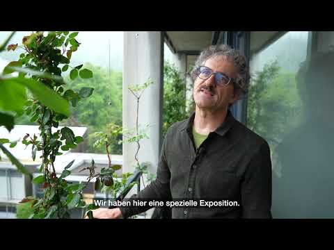 Vertikalbegrünung Stadtspital Zürich Triemli