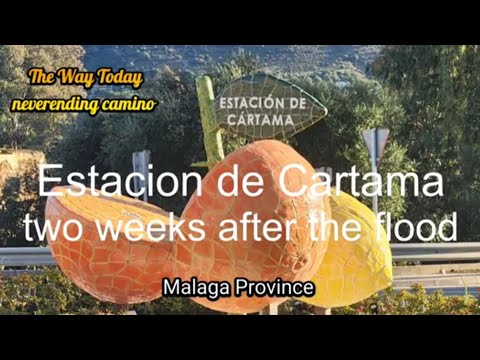 January 3rd 2026 Estacion De Cartama,  Malaga Province, Spain 