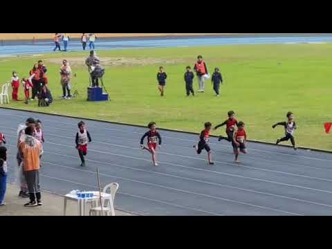 50m F Masculino - Mirim 2022