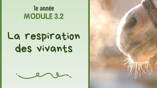 La respiration des vivants