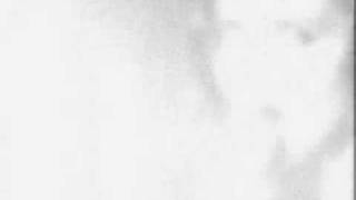 Fiona Apple - Used To Love Him