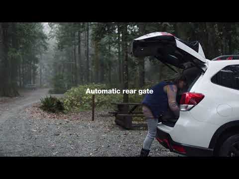 2019 Subaru Forester | Subaru Commercial | Thunderstorm Dog