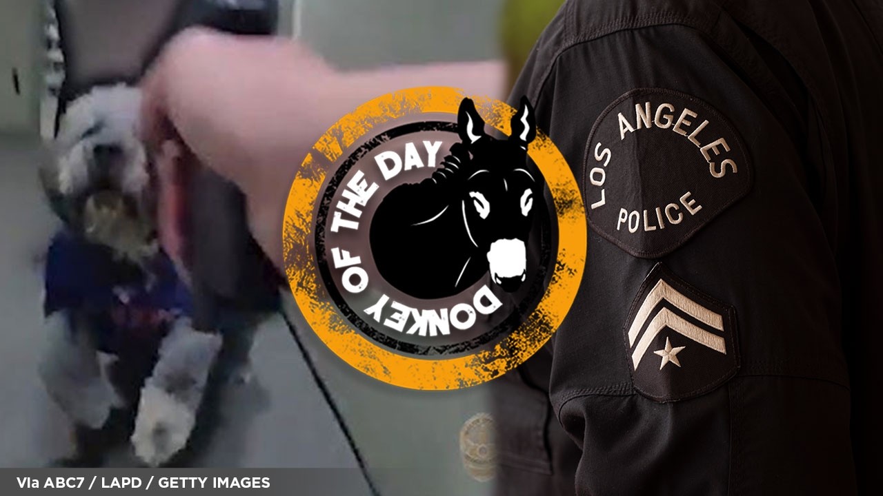 L.A.P.D. Officer Fatally Sh00ts Knicks Fan’s Dog