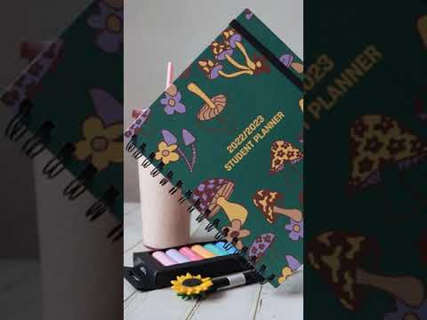 Mal's Home | Mấy Món Đồ Độc Lạ Voltar às aulas Typo #papelaria #review #shorts