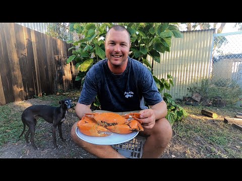 MUDCRAB CATCH and COOK!  Giant Mud Crab Hunt and a Campfire Cook Up - Garlic Butter Crab