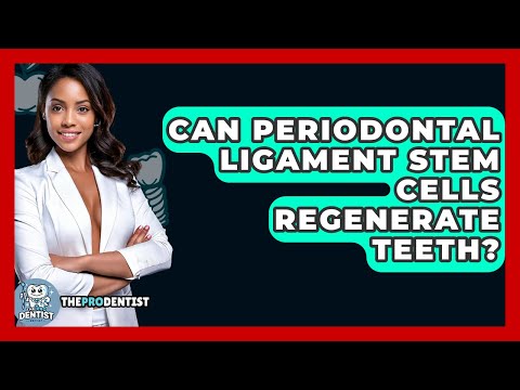 Can Periodontal Ligament Stem Cells Regenerate Teeth? - The Pro Dentist