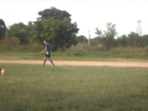 No Cajueiro Furia x Time do Vira Bicho