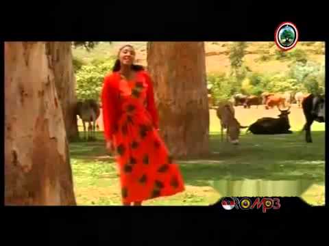 Oromo Music - Hawwi Tezera - Walee yaa walee