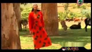 Oromo Music - Hawwi Tezera - Walee yaa walee