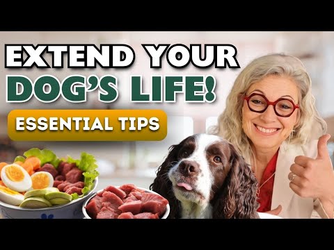 Extend Your Dog's Life with Essential Tips from Dr. Judy Morgan!