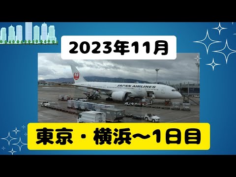 Noviembre de 2023 Tokio/Yokohama ~ Día 1 ~ Yokohama Air Cabin y Tsukishima Monja Moheji