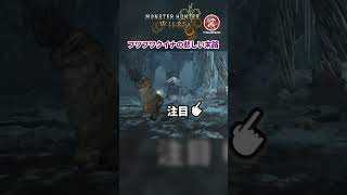 ラフマーの背中に乗ったフワフワクイナの悲しすぎる結末...【モンハンワイルズ】 #モンハン