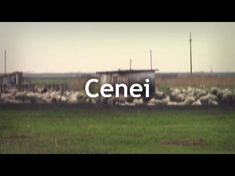 O scurtă poveste despre comuna Cenei