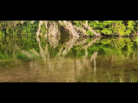 Best trance hits spring 2022 - Progressive, Uplifting & Vocal