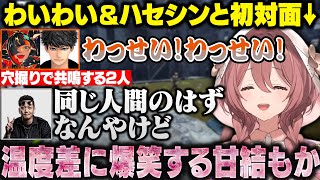 【Keep Digging】穴掘りで共鳴するハセシン＆はなびや屁をこくハセシン＆わいわいに爆笑するもかもかちゃん【甘結もか/蝶屋はなび/わいわい/ハセシン/ぶいすぽ/切り抜き】