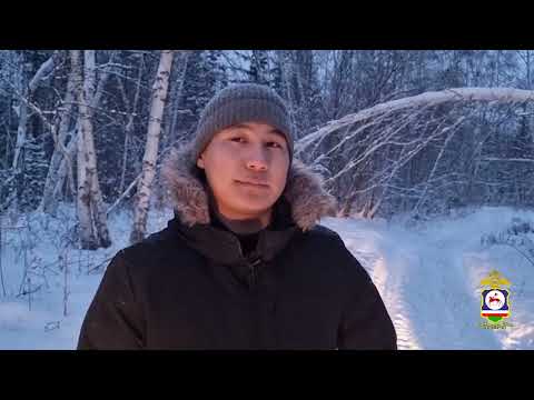 В Якутии полицейские нашли мальчика, который из-за метели и снегопада заплутал в лесу по пути в школу