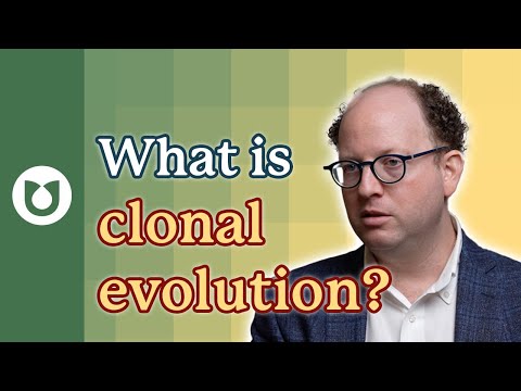 What is clonal evolution? #AML