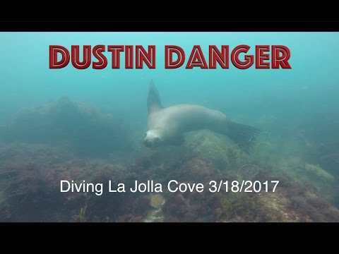 download lagu mp3 mp4 Dive California San Diego Ca, download lagu Dive California San Diego Ca gratis, unduh video klip Dive California San Diego Ca