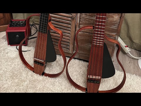 Обзор электроакустической бас-гитары Nebula NBSG Bass