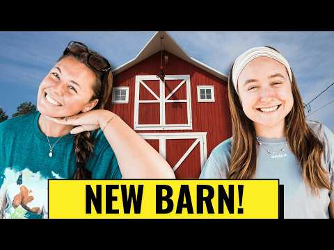My Garden Has Failed Me...But We Get A NEW Barn!
