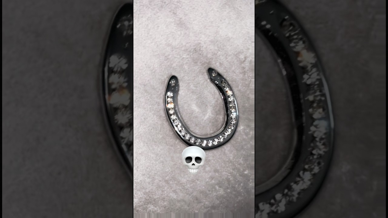 POV: You’re Riding the Best Show Horse in the Arena 🐎✨#shorts