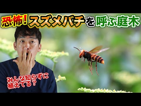 IUCN分類における絶滅の危険性を示す図。