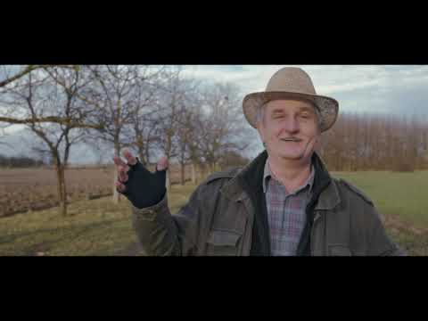 ŠIMA JOVANOVAC - ŠTA KOG' BRIGA KAKO ŽIVIM (OFFICIAL VIDEO)