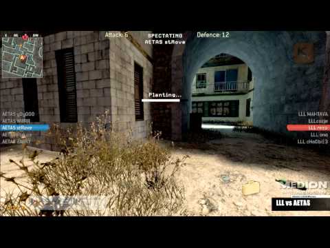 AETAS Strove Double fakes a plant - Adroits Masters